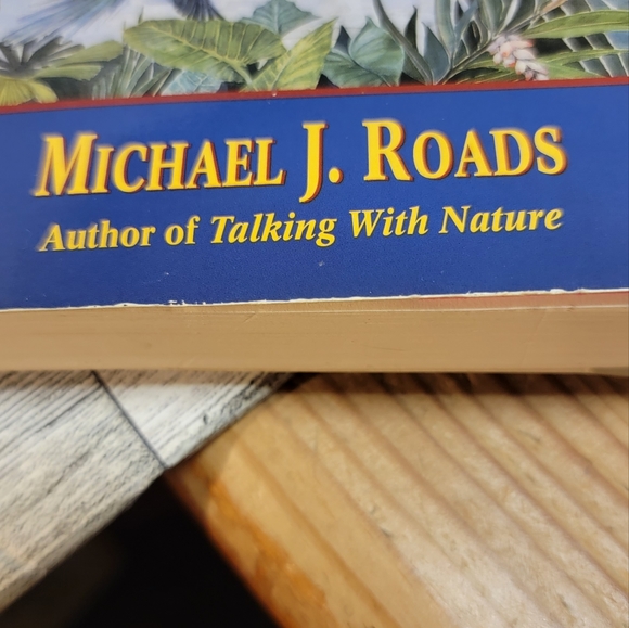 Metaphysical book by Michael J. Roads. Title: Into A Timeless Realm. - Picture 5 of 5